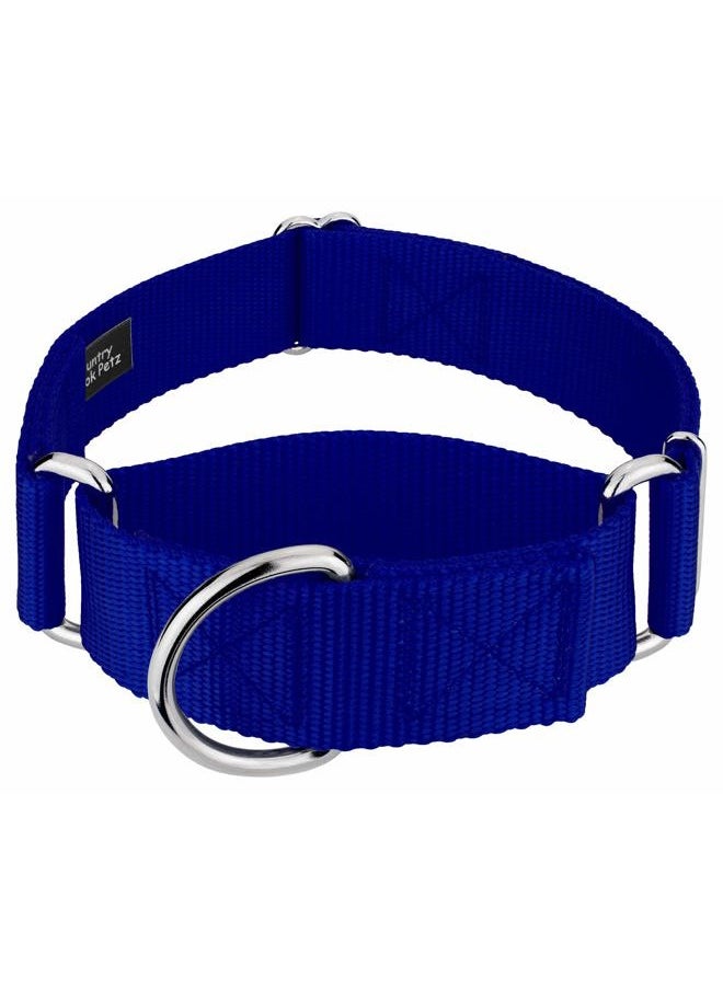 Country Brook Design Country Brook Petz 1 1/2 Inch Martingale Heavy Duty Nylon Adjustable Dog Collar for Small, Medium, Large Breeds - Vibrant 17 Color Selection (Royal Blue, Large)  - Image 1