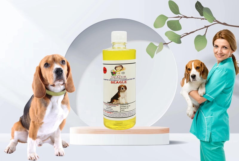 Swacch Shampoo Specially Formulated for Beagle (500ml) Lemon - Image 1