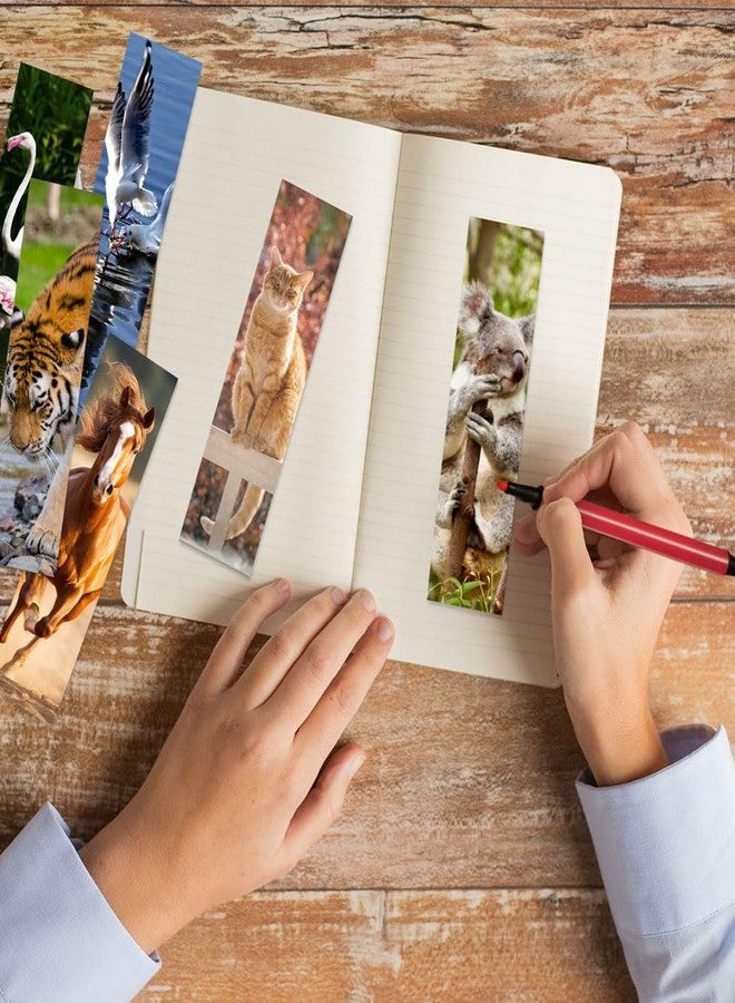 اكوبيرلا مجموعة فواصل كتب حيوانية بالجملة مكونة من 120 قطعة، 60 تصميمًا مختلفًا، لمحبي الكتب - Image 3