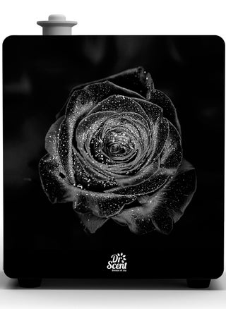 ECO Black