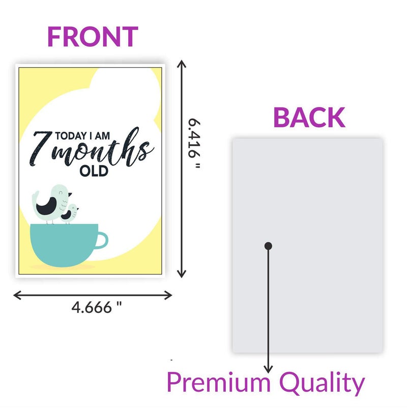 Wobbox Baby Shower Decoration Items| Baby Shower Photo Booth Props for Photoshoot, Baby Shower Milestone Card, Mom to Be Daddy to Be Decoration, Godh Bharai Decoration Kit-(FP365) - Image 4