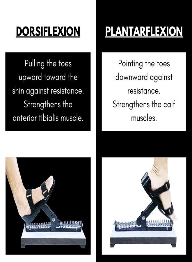 Physiogears Physio therapy Ankle Exerciser - Image 4