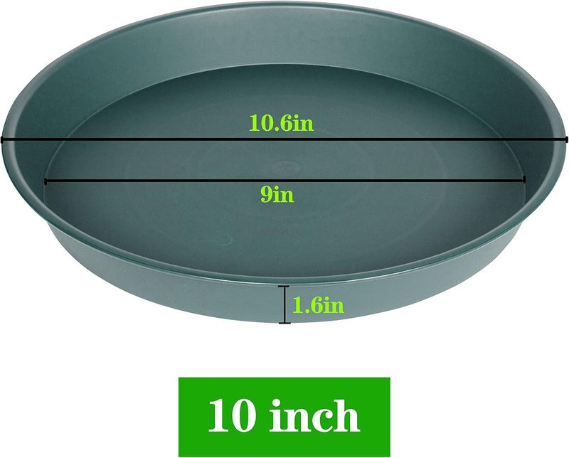 Bleuhome Plant Saucer 10 inch Green - Image 2