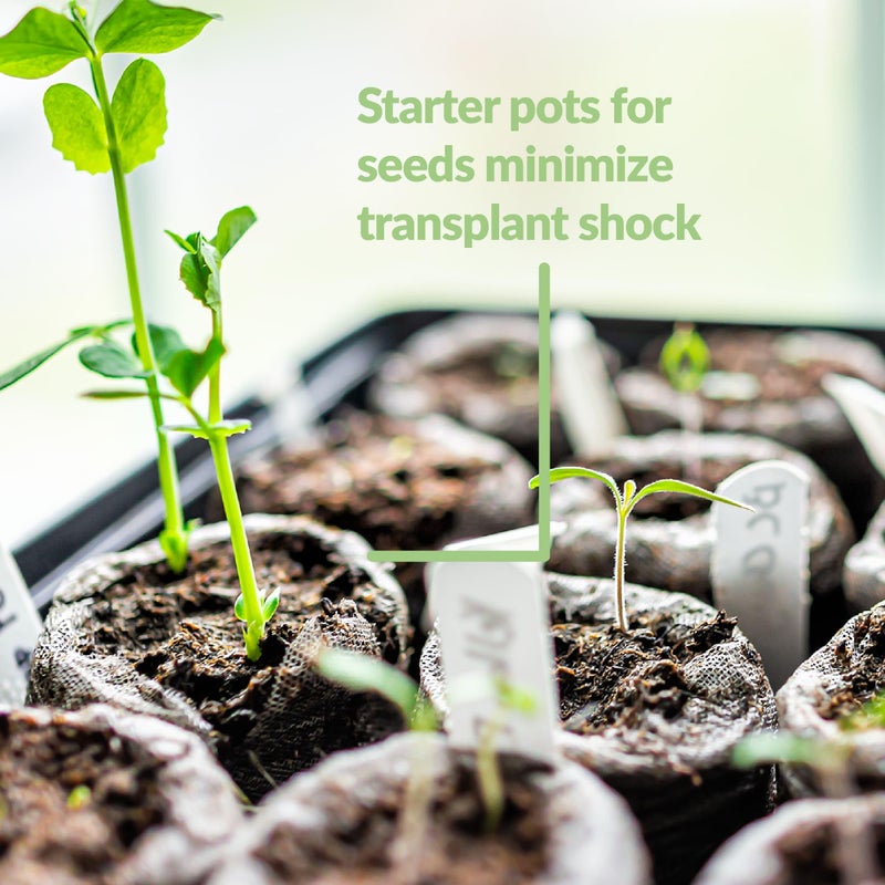 Jiffy Seed Starting 42Mm Peat Pellet Refills - 5 Pack  125 Pellets Total - Image 4