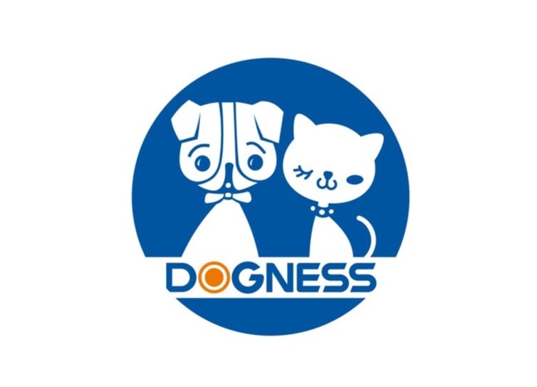 دوغنس دوجنيس® سلسة مضادة للصدمات للكلاب (طول ٦٣ سم) - Image 3