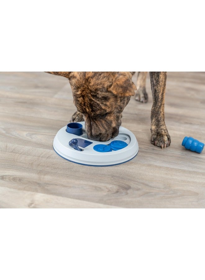 تريكسي لعبة تريكسي للكلاب - لعبة الاختباء والانزلاق، المستوى الثاني، لعبة استراتيجية، أحجية للكلاب، موزع مكافآت - Image 2