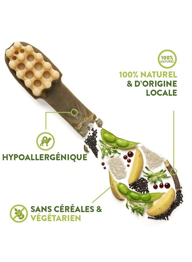 ويمزيس مضغ طبيعي للكلاب يدوم طويلاً، علبة متنوعة بأشكال مختلفة، صغير، 56 قطعة - Image 5