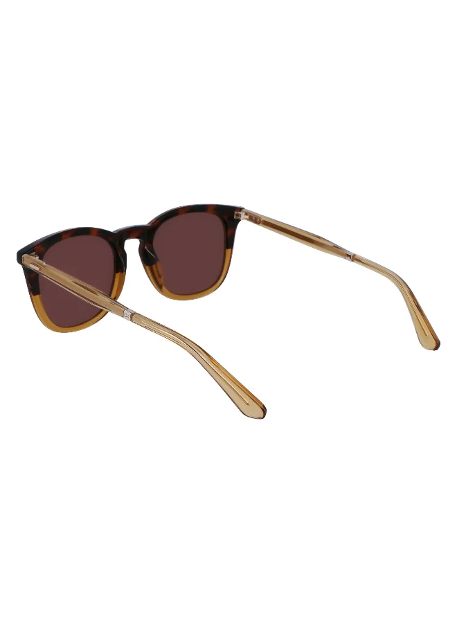 كالفن كلاين FULL RIM ACETATECALVIN KLEIN SUN CK23501S