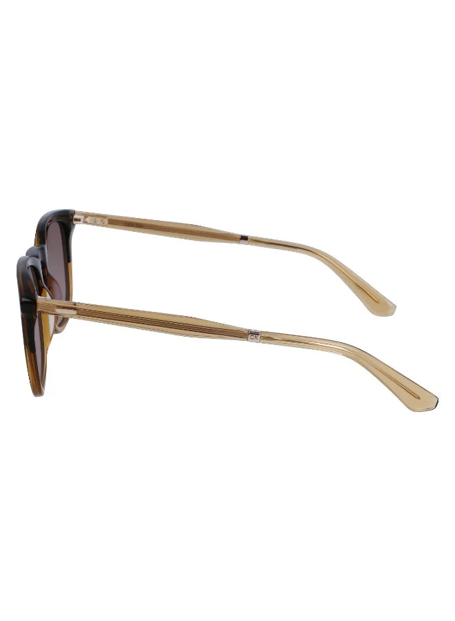 Calvin Klein FULL RIM ACETATECALVIN KLEIN SUN CK23501S