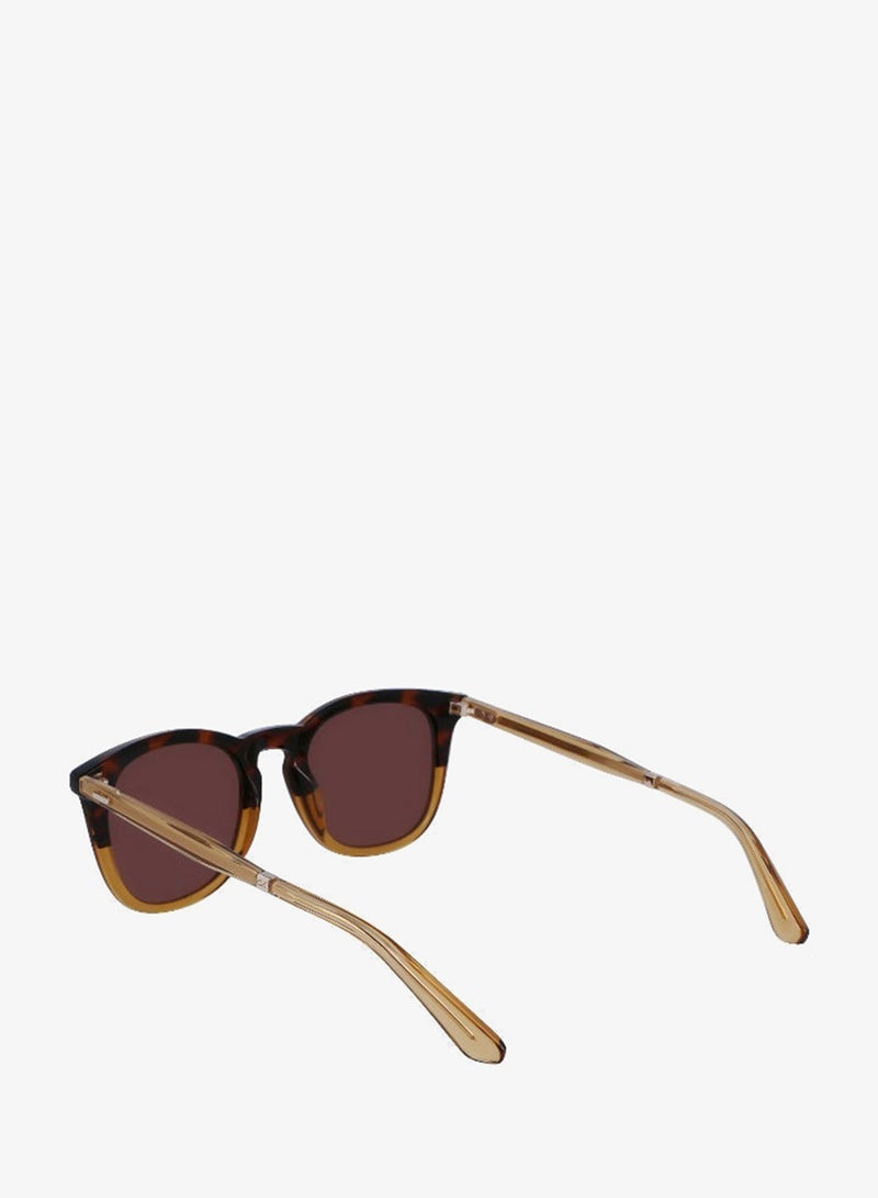 CALVIN KLEIN FULL RIM ACETATECALVIN KLEIN SUN CK23501S - Image 3