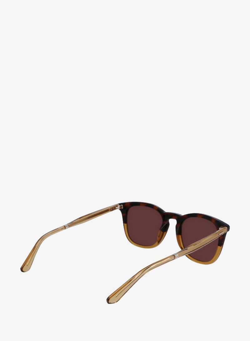 CALVIN KLEIN FULL RIM ACETATECALVIN KLEIN SUN CK23501S - Image 5