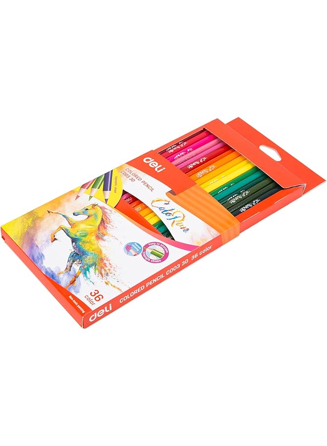 ديلي قلم تلوين 36 لون C003 30 - Image 2