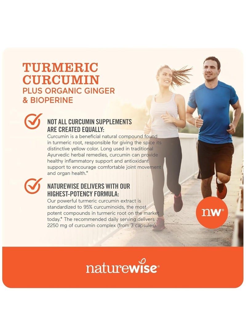 NatureWise Turmeric Curcumin 90 Vegan Capsules - Image 4