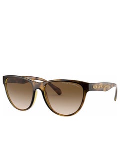 Armani Exchange نظارة شمسية نسائية من Armani Exchange Cat Eye، لون هافانا مع عدسات بنية متدرجة AX4095SF 803713 مقاس العدسة: 56 مم  - Image 1