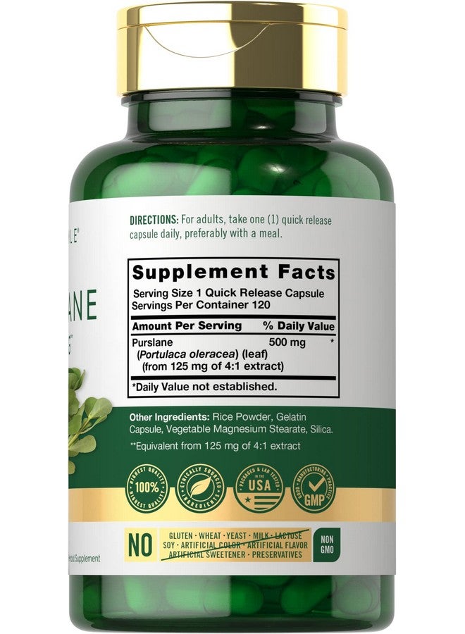 Carlyle كبسولات كارلايل بورتولاكا | 500 ملغ | 120 حبة | مستخلص بورتولاكا أوليراسيا | مكمل خالي من الكائنات المعدلة وراثيًا وخالي من الغلوتين - Image 2