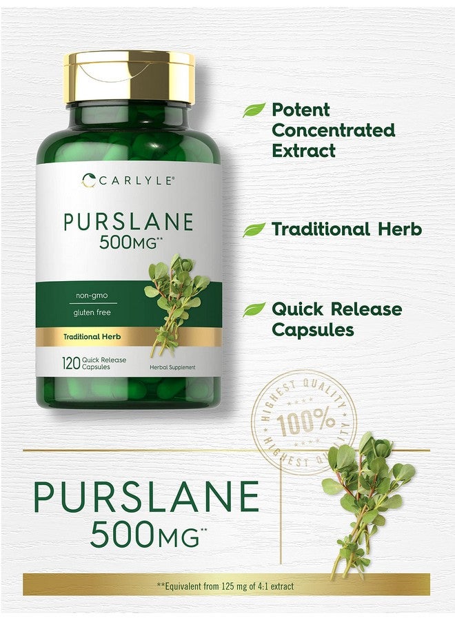 Carlyle كبسولات كارلايل بورتولاكا | 500 ملغ | 120 حبة | مستخلص بورتولاكا أوليراسيا | مكمل خالي من الكائنات المعدلة وراثيًا وخالي من الغلوتين - Image 3