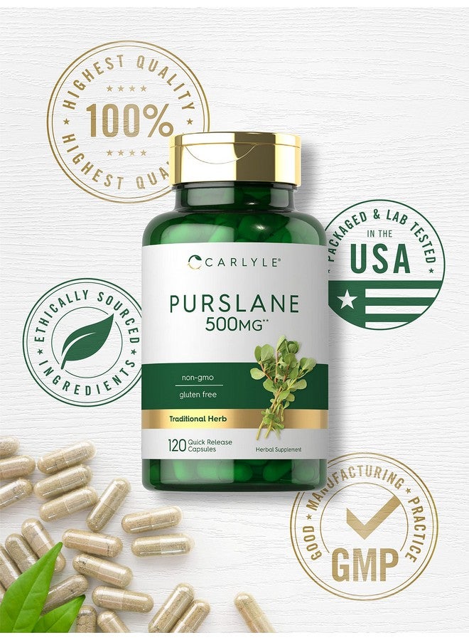 Carlyle كبسولات كارلايل بورتولاكا | 500 ملغ | 120 حبة | مستخلص بورتولاكا أوليراسيا | مكمل خالي من الكائنات المعدلة وراثيًا وخالي من الغلوتين - Image 5