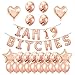 Santonila 19th Birthday Party SetI am 19 Bitches Funny Banner Confetti Rose Gold Balloons for Girls 19 Years Old Birthday Decoration - Image 4