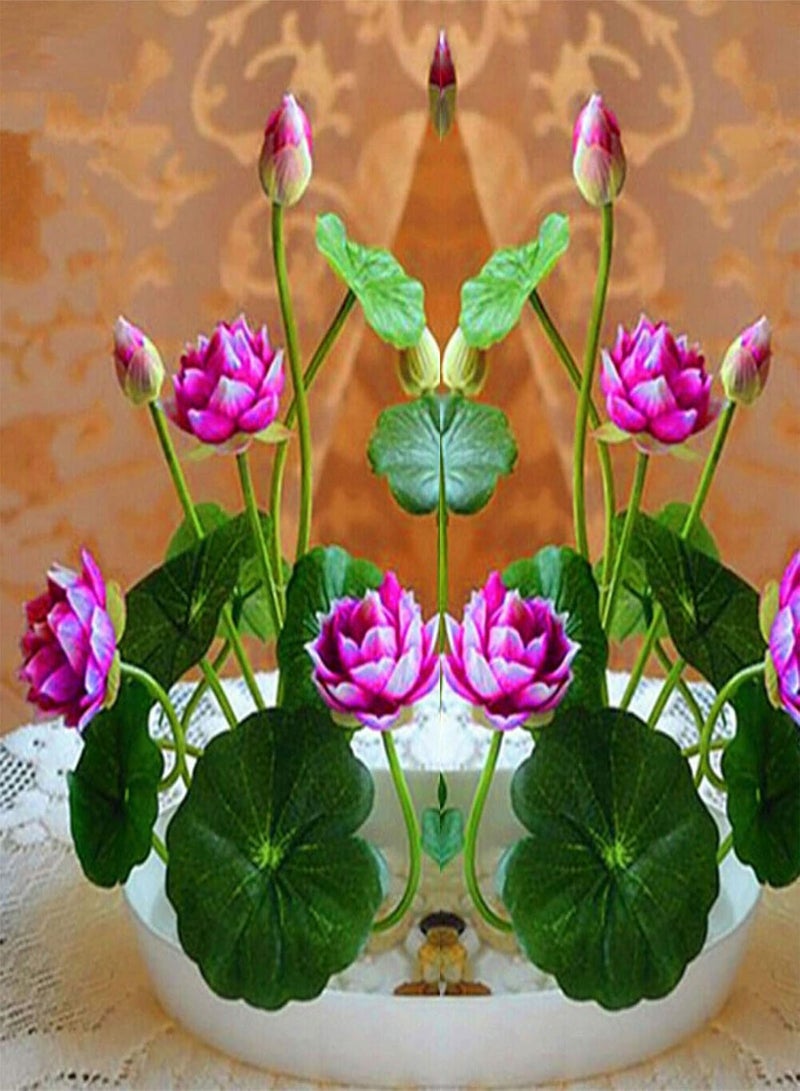 GGOOT 1 Bag Bowl Lotus Seeds for Planting,Mini Rare Mix Color Natural Flower Seed for Garden - Bowl Lotus Seeds  - Image 4