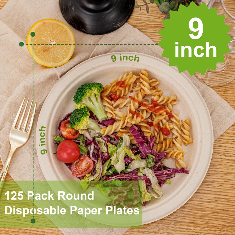 WELLIFE 100% Compostable Paper Plates 9 Inch  125-Pack Heavy Duty Paper Plates Bulk Biodegradable Bagasse Eco-Friendly Disposable Dinner Plate for BBQ Picnic Party (BPI Certified Microwaveable) - Image 1