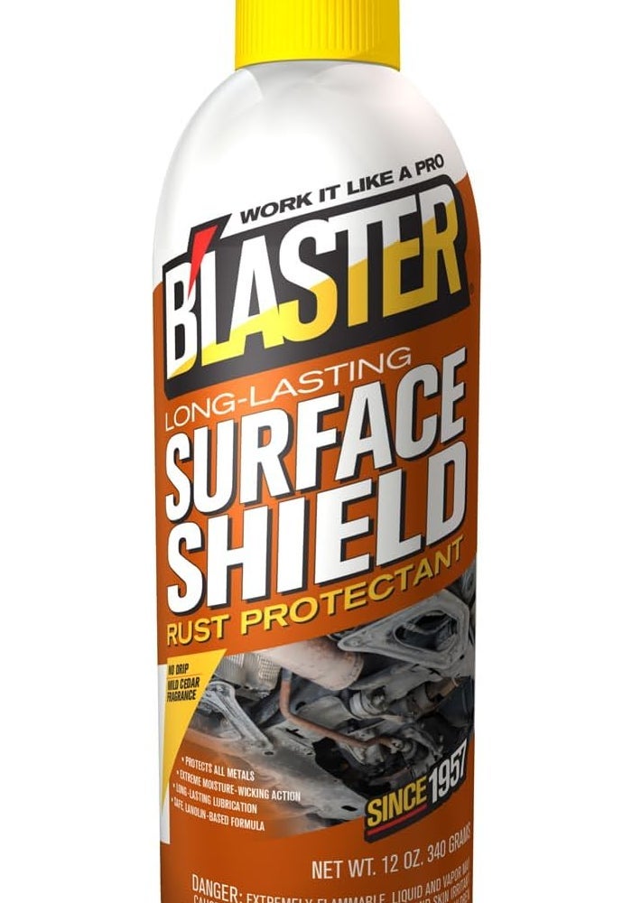 Blaster 16-SS Surface Shield Aerosol, 12 oz - Long-Lasting Rust Protectant