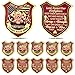 Liliaafar 10 Pcs Firefighter Challenge Coins Fireman Prayer Coin Gifts for Firefighters Rescue Department Commemorative Coins for Fireman Men Gifts - Image 2