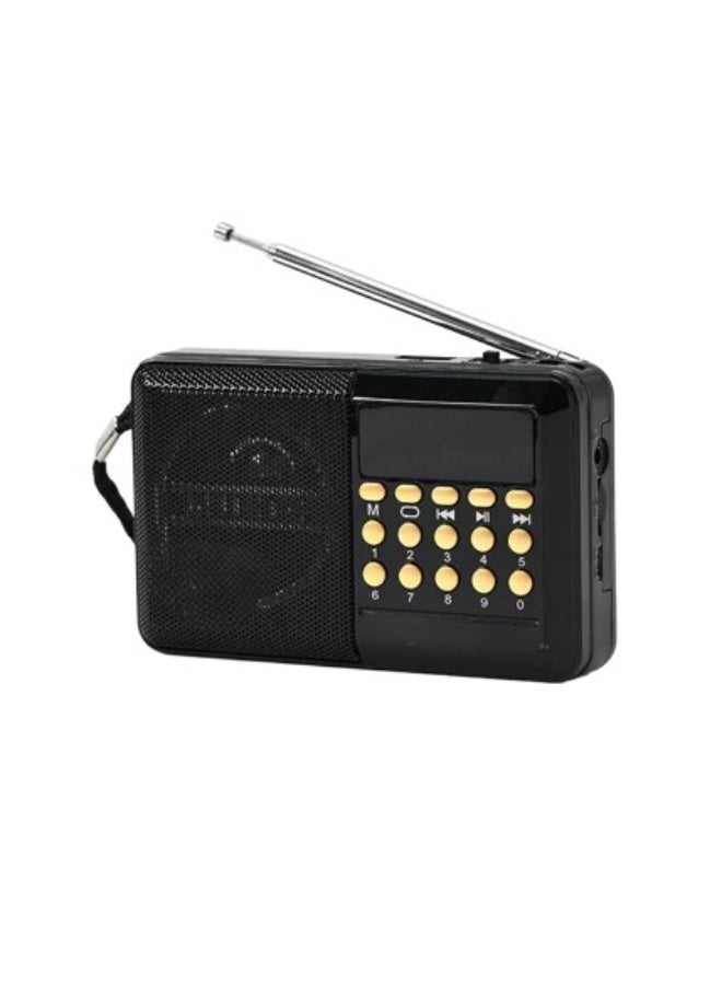 Bluetooth Portable Radio & Digital Selects Music Player with USB/TF/BT, Bulit-In Rechargeable Battery FM Radio Pocket Radio, Large LED Display, Multiple Playback Modes, High Sound Quality - Image 1