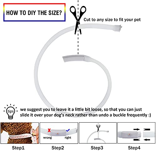 GS GLOWSEEN Led Dog Collar Rechargeable USB-C, Super Bright Multi-Color Light Up Collar, Weatherproof Lighted Safety Dog Collar Light for Night Walking,Size Cuttable for Large Medium Small Dogs - Image 5
