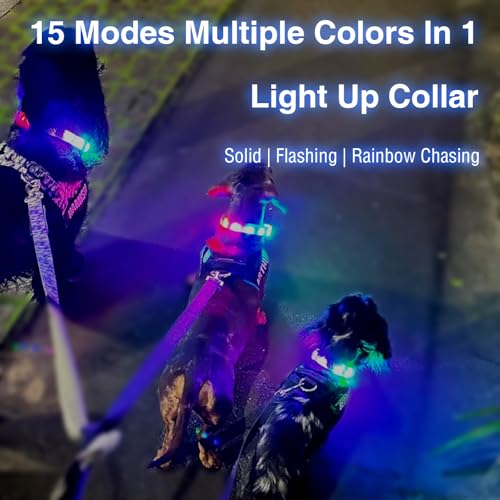 GS GLOWSEEN Led Dog Collar Rechargeable USB-C, Super Bright Multi-Color Light Up Collar, Weatherproof Lighted Safety Dog Collar Light for Night Walking,Size Cuttable for Large Medium Small Dogs - Image 2