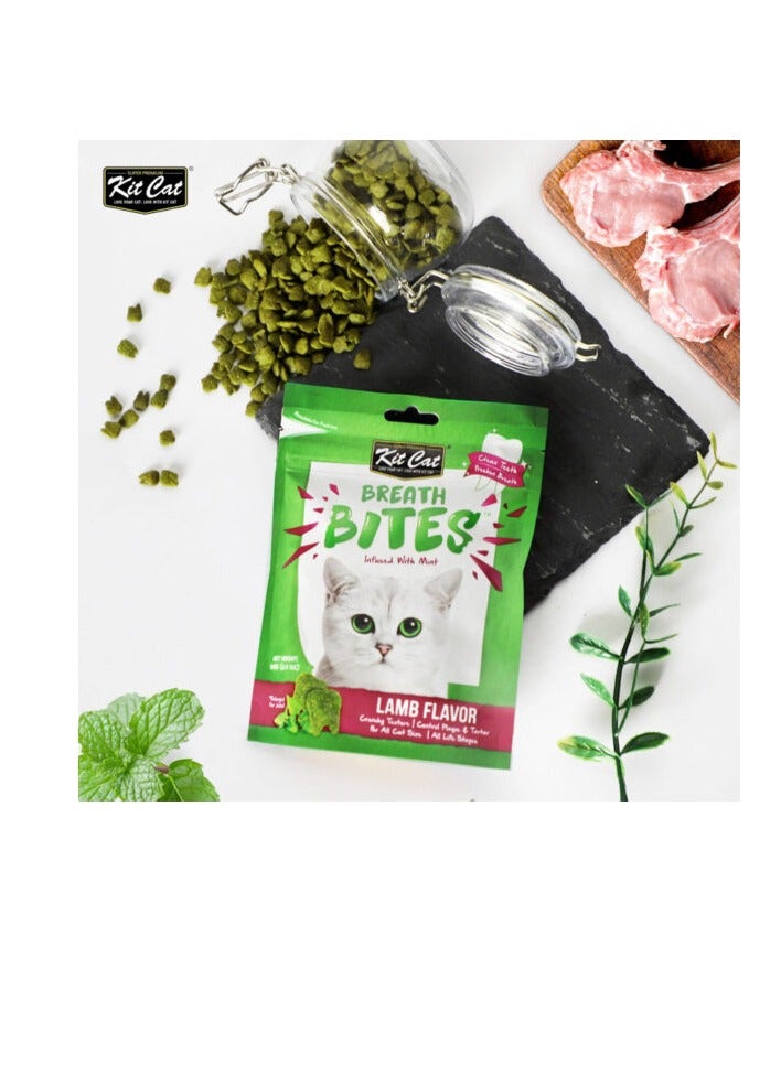 كيت كات لدغات التنفس بنكهة لحم الضأن 60 جرام - Image 2