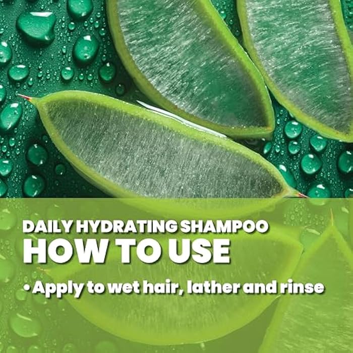 GREAT CLIPS LATITUDE Daily Hydrating Shampoo | Men's Shampoo that Promotes Full + Healthy Hair | For All Hair Types | 12oz | Packaging May Vary - Image 4