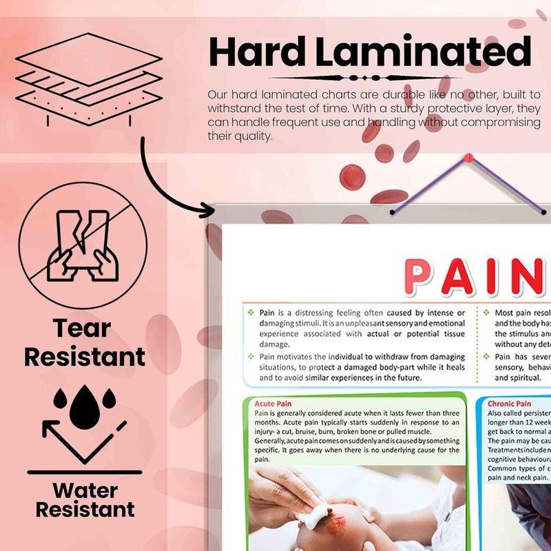GoWoo COMBO OF 5 ANATOMY CHARTS - Image 3