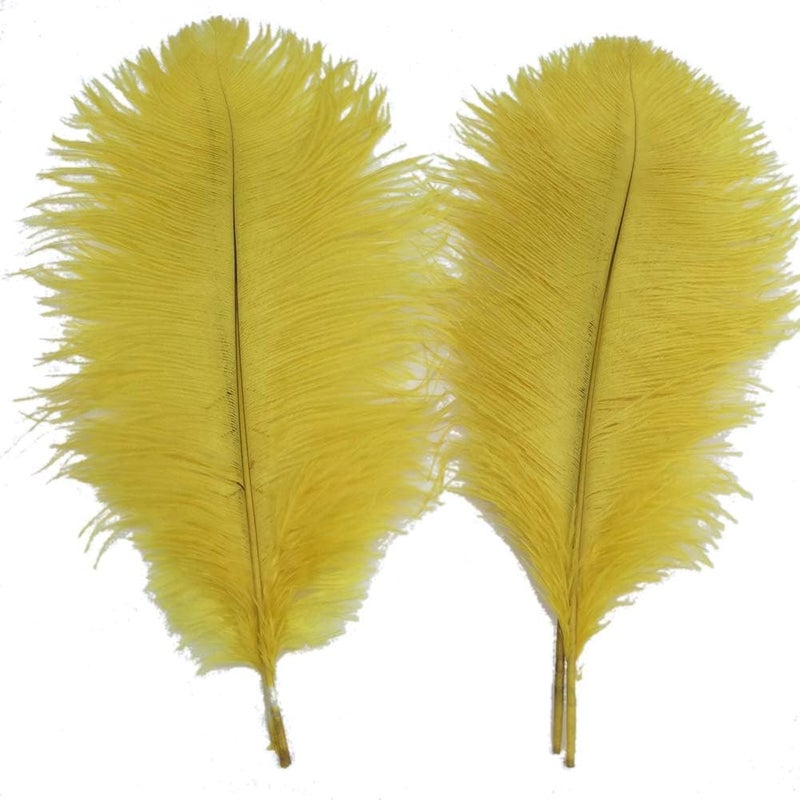 Sowder 5pcs Ostrich Feathers 16-18inch(40-45cm) Home Wedding Decoration(Yellow) - Image 1