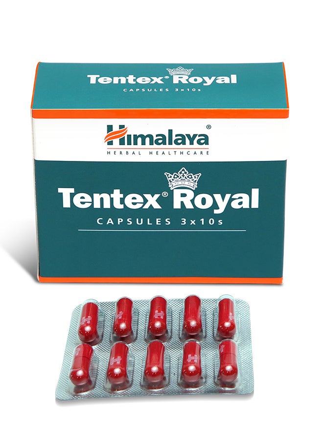 Himalaya Tentex Royal 30'S; Natural Erection Support - Image 1