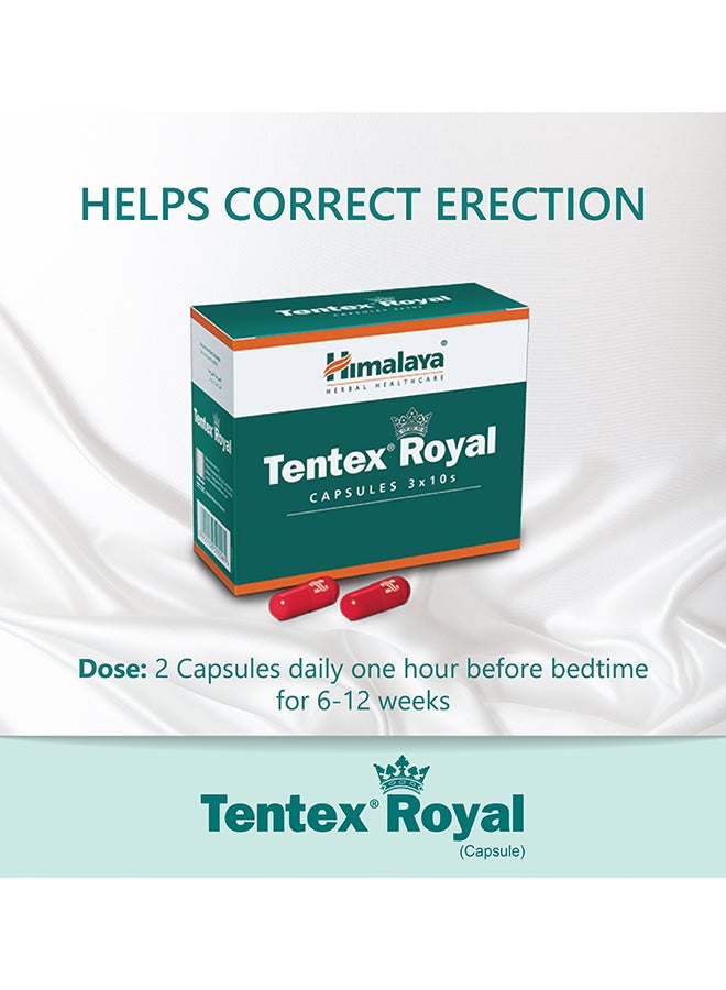 Himalaya Tentex Royal 30'S; Natural Erection Support - Image 3