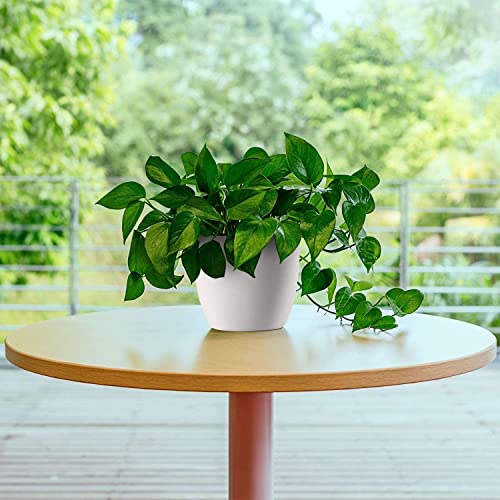 Tim Tim Agro Planters Plastic 10 Inch Set of 5, Plant Flower Pot Modern Decorative Seeding Nursery Pots Outdoor Indoor Garden for All House Plants Flowers Herbs African Violets (White) - Image 3