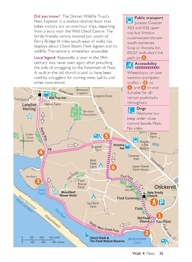 OS Short Walks Made Easy - Dorset's Jurassic Coast: 10 Leisurely Walks  - Image 5