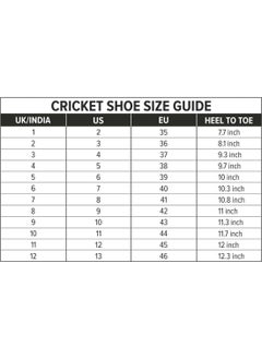 DSC Belter Cricket Shoes | Teal Blue | For Boys and Men | Eva Sock Liner | Lightweight Outsole | Durable | 4 UK, 5 US, 38 EU  - Image 2