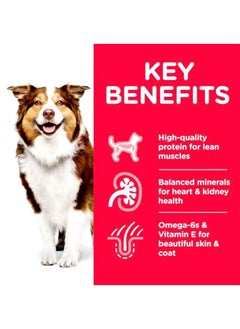 Hill's Science Plan Mature Adult 7+ Chicken Dog -2.5 kg  - Image 2