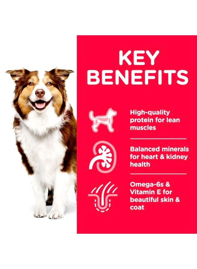 Hill's Science Plan Mature Adult 7+ Chicken Dog -2.5 kg - Image 2