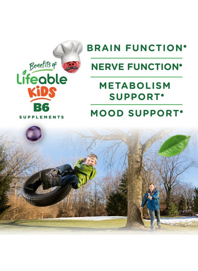 Lifeable Vitamin B6 Gummies for Kids | Great Tasting B6 Vitamins 50mg | Vegan Non-GMO Gluten Free | for Nerve Function Support | 60 Gummies - Image 3