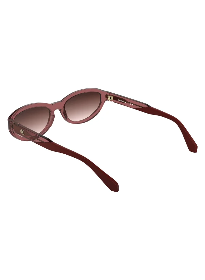 Calvin Klein Jeans FULL RIM ACETATECALVIN KLEIN JEANS SUN CKJ25618S