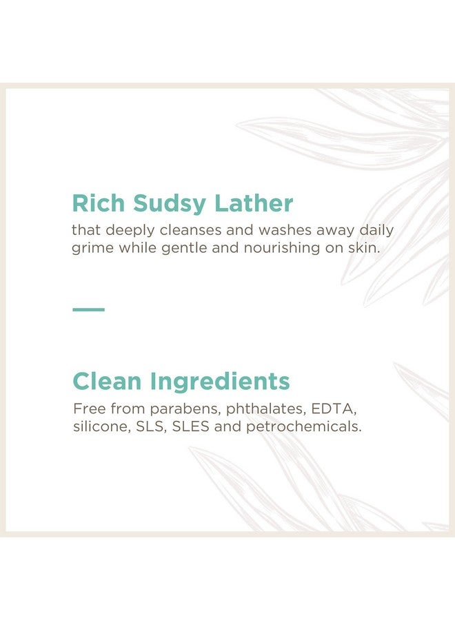 سوب بوكس صابون رغوي لليدين من سوب بوكس، بخلاصة الصبار والمريمية، زجاجات ضخ سعة ١١ أونصة، ٣ عبوات - غسول رغوي مرطب لليدين، برائحة لطيفة، مناسب للمطبخ والحمام، نباتي، خالٍ من البارابين والقسوة. - Image 4