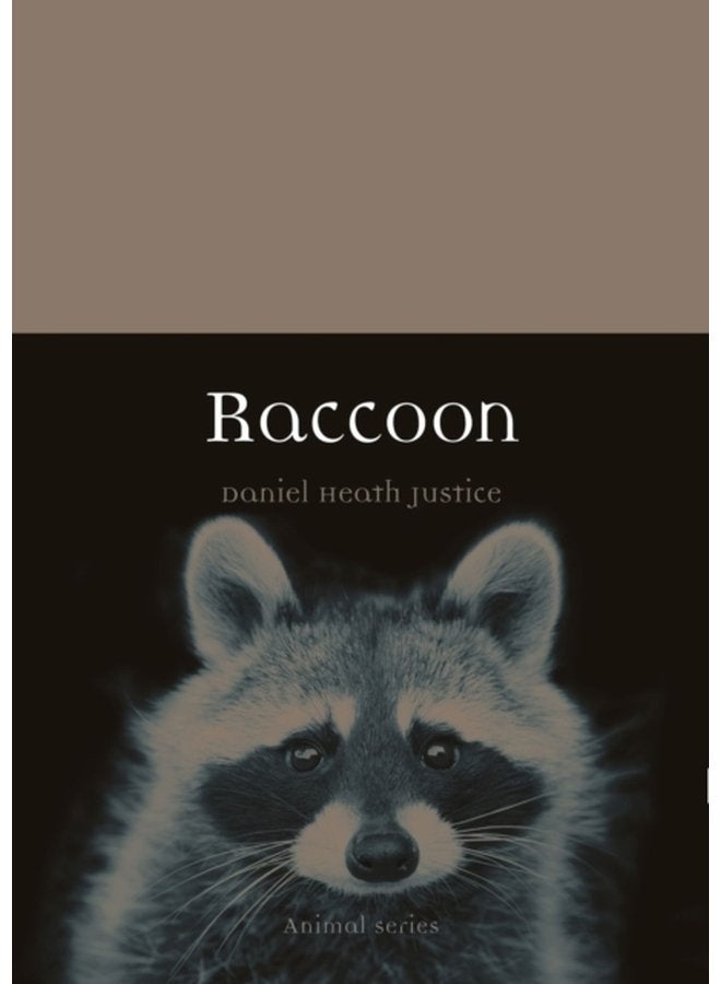 Raccoon - Paperback