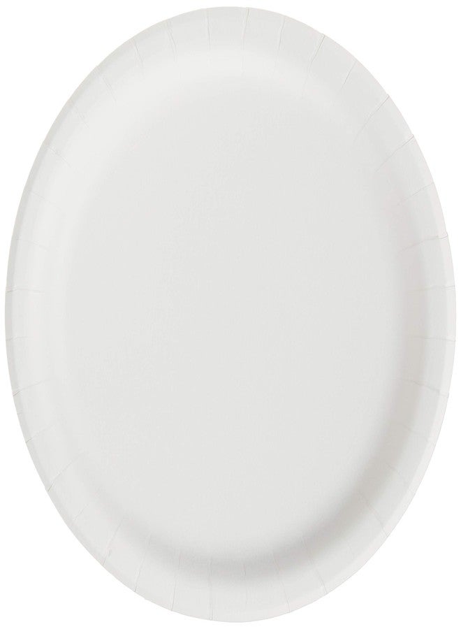 Creative Converting Touch of Color Paper Lunch Plates, 24-Count, Emerald Green - Image 3