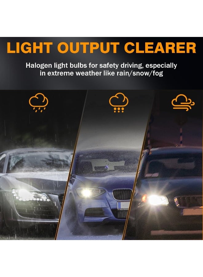 FEEMA H11 Premium Halogen Headlight Bulb 12V 55W, Quartz Glass Car Headlamp, Bright Clear Light Output, Fog Light Replacement, Long Life Automotive Lighting, Made in Korea, 10 Pc - Image 4