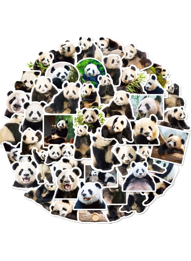 NIBEMINENT 50 Pcs Panda Realistic Deco Kit Waterproof Stickers, High Definition Printing Bright Colors, Suitable for Laptop Skateboard Luggage Water Bottle Guitar DIY - Image 1