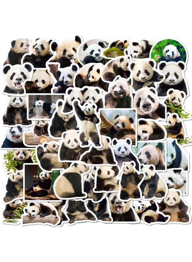 NIBEMINENT 50 Pcs Panda Realistic Deco Kit Waterproof Stickers, High Definition Printing Bright Colors, Suitable for Laptop Skateboard Luggage Water Bottle Guitar DIY - Image 2