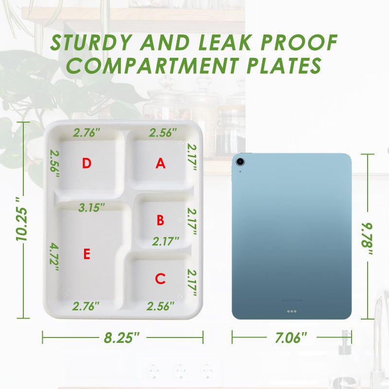 Vplus 100% Compostable 5 Compartment Plates 125 Pack Eco-Friendly Disposable Sugarcane 10 x 8 inch Bagasse School Lunch Tray Perfect for Boys and Girls - Image 5