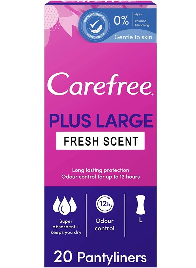 Carefree - Plus Large Fresh Scent 20 Panty Liners - Image 1